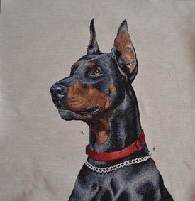 Carré - Doberman