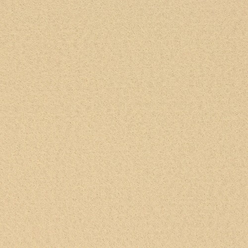 Feutrine - Feuille 21x29.7cm écru