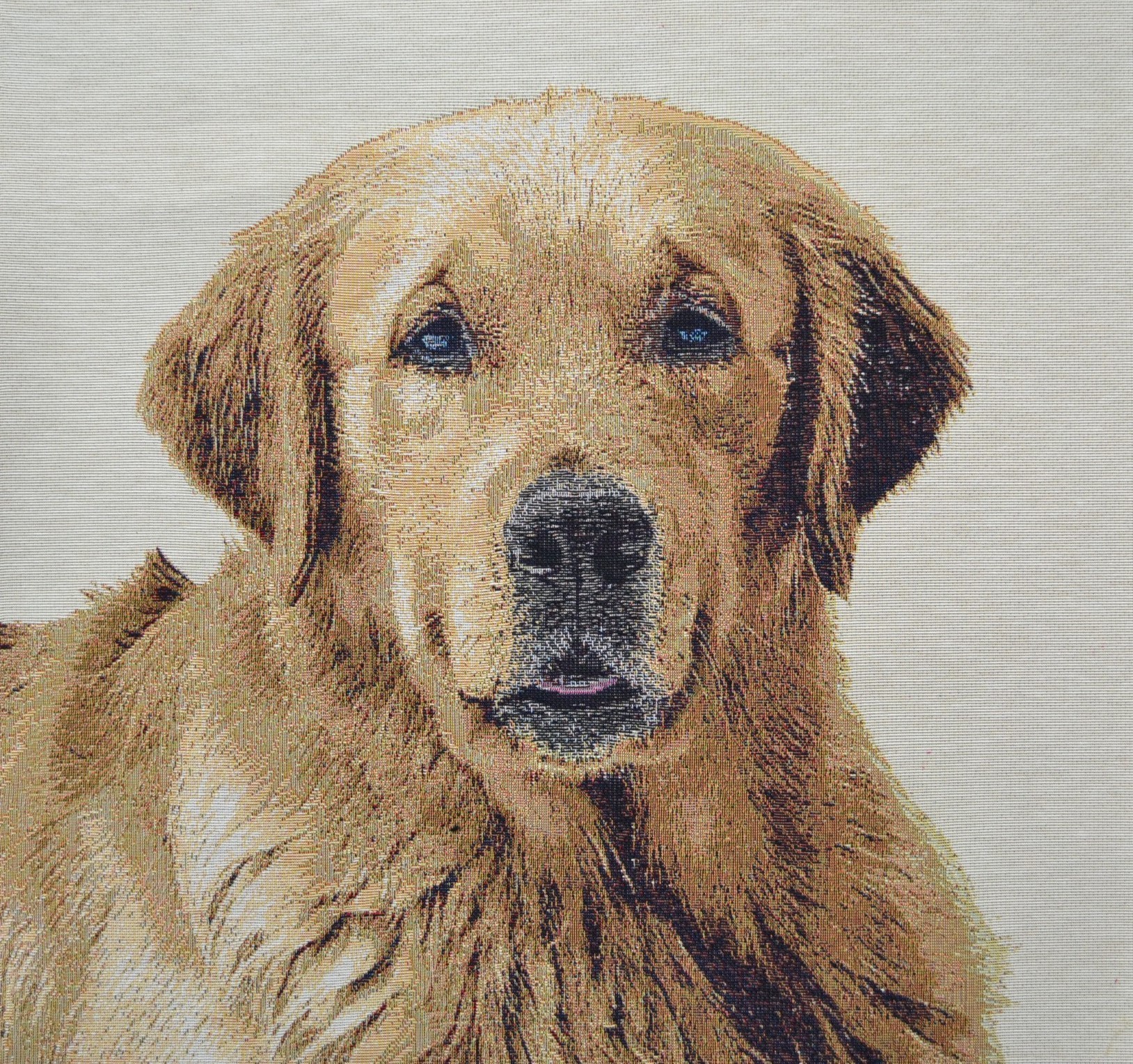 Carré - Labrador