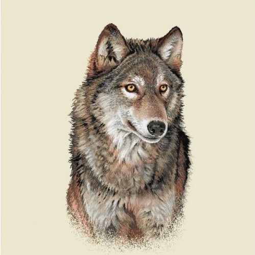 Carré - Loup