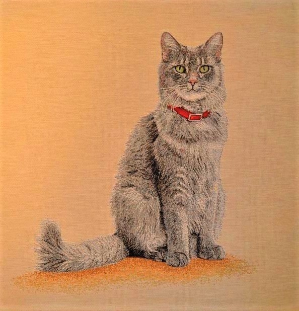 Carré - Chat gris