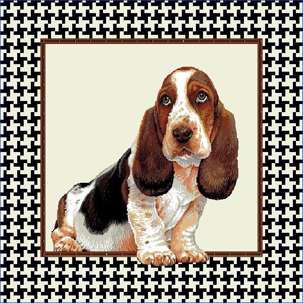 Carré - Basset dans le carré