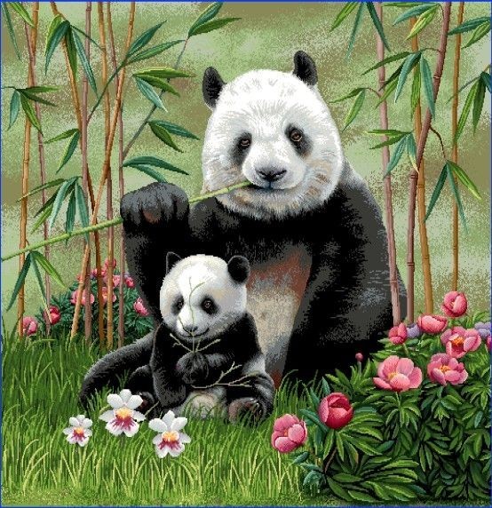 Carré - Pandas