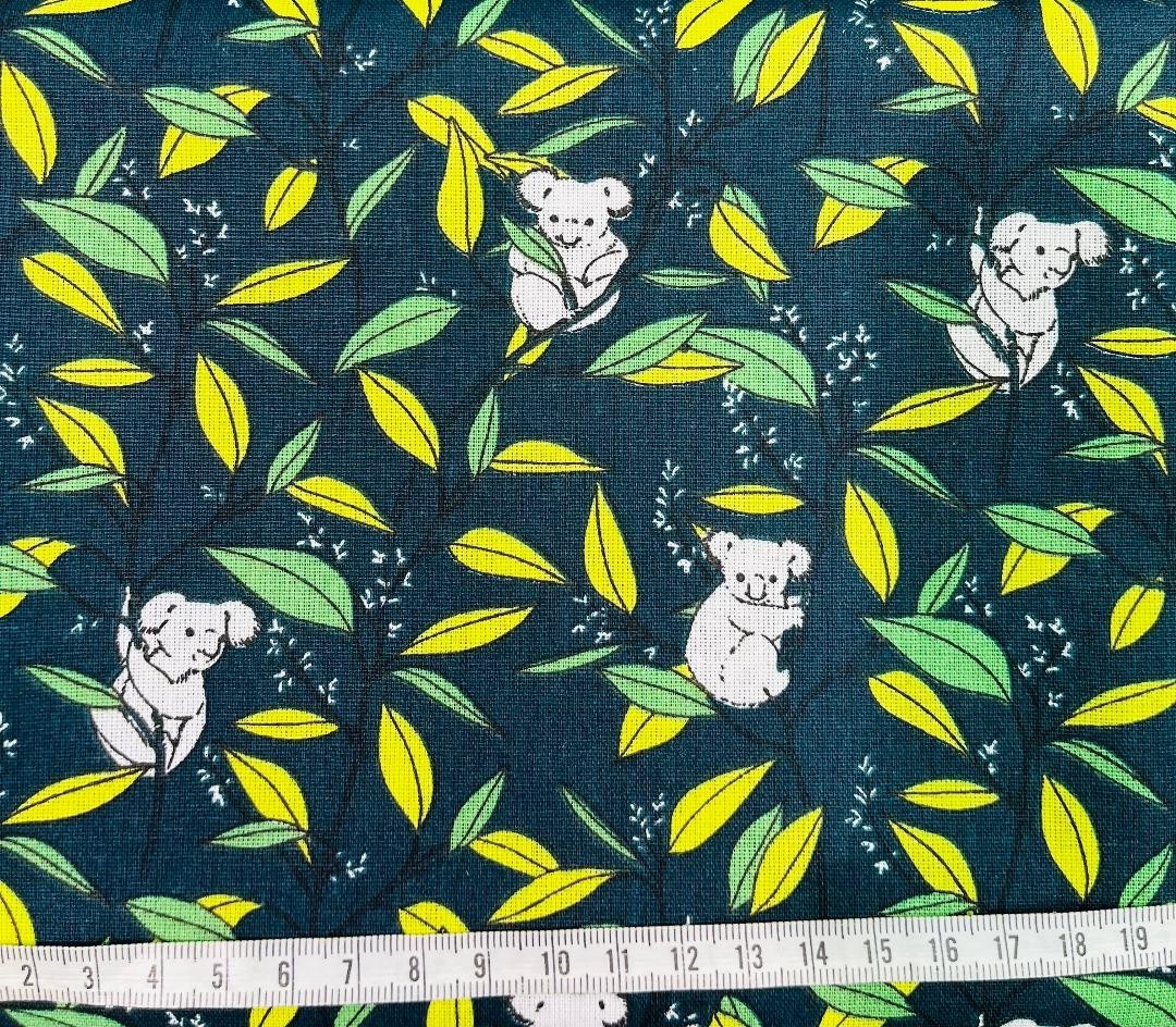 Coton 150 - Koala