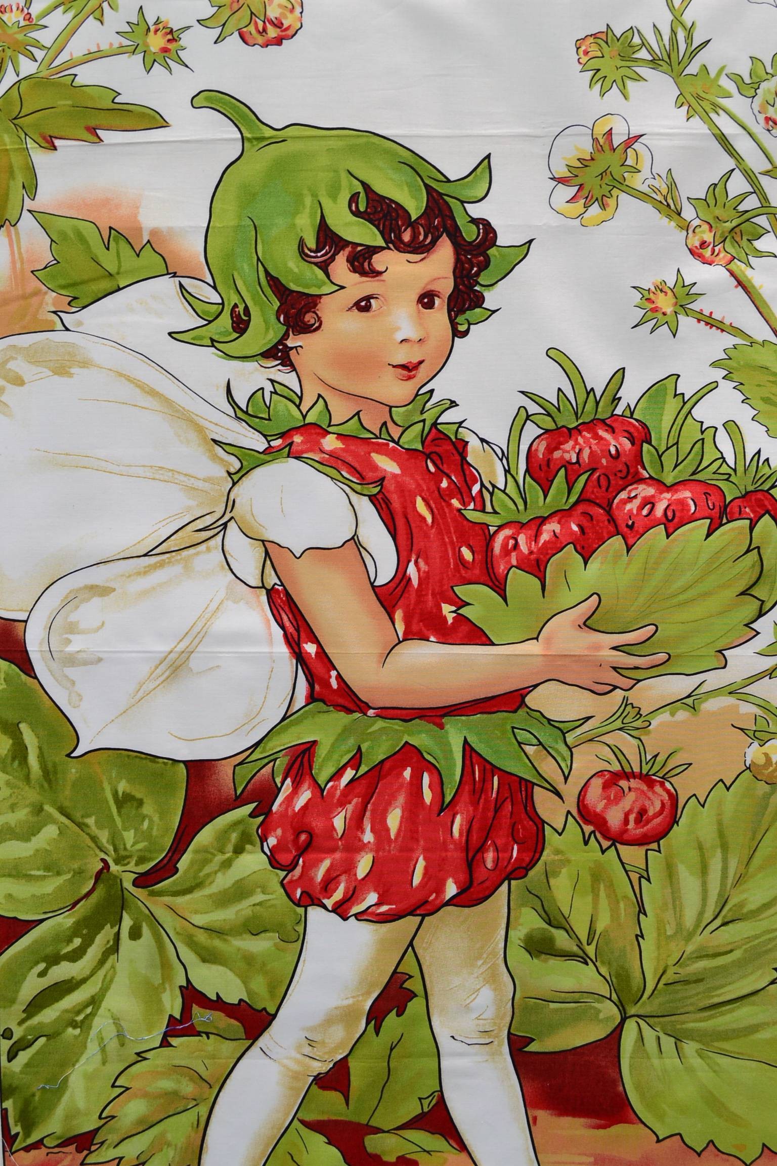 PANNEAU - Elfes, flowers fairies