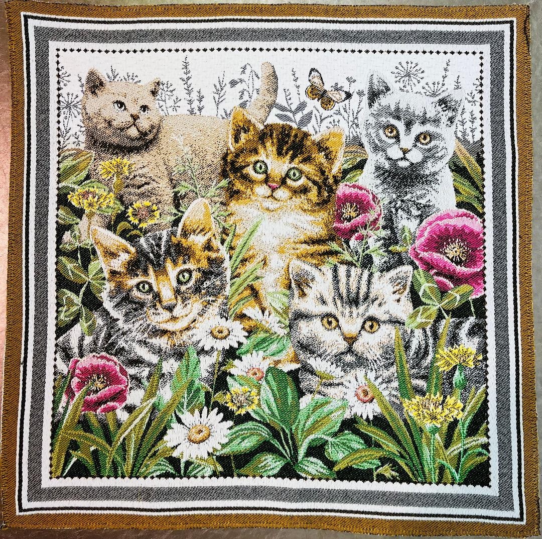 Carré Les chats
