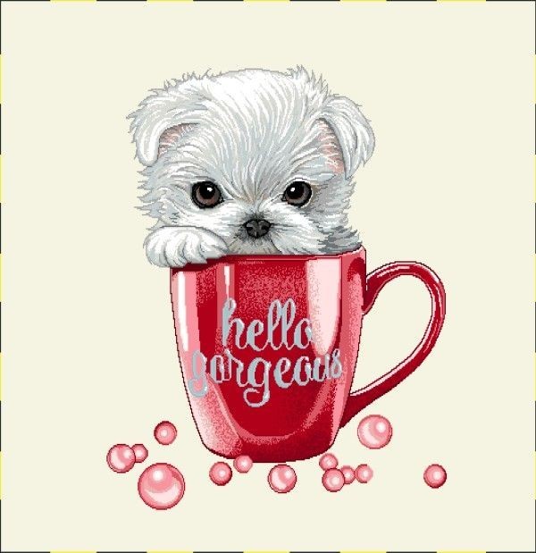 Carré-Chiot tasse