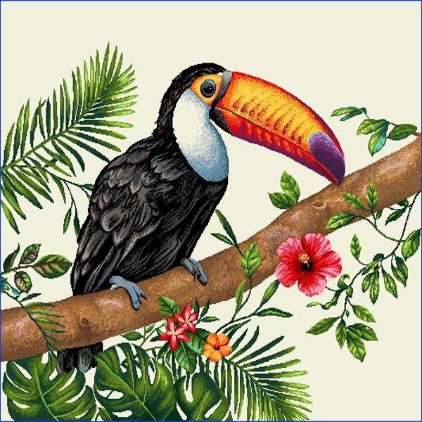 Carré-Toucan