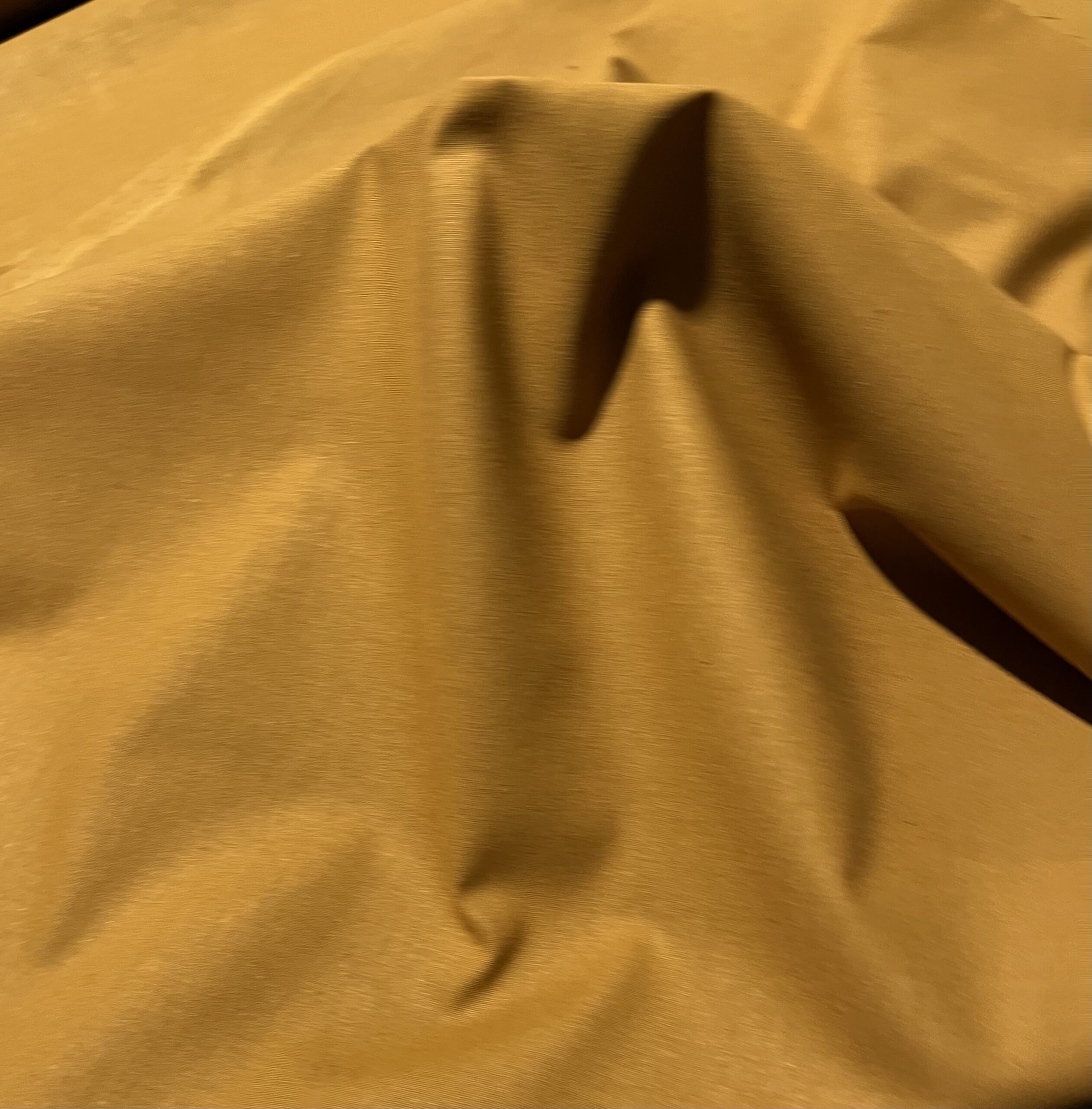 Coton uni Camel