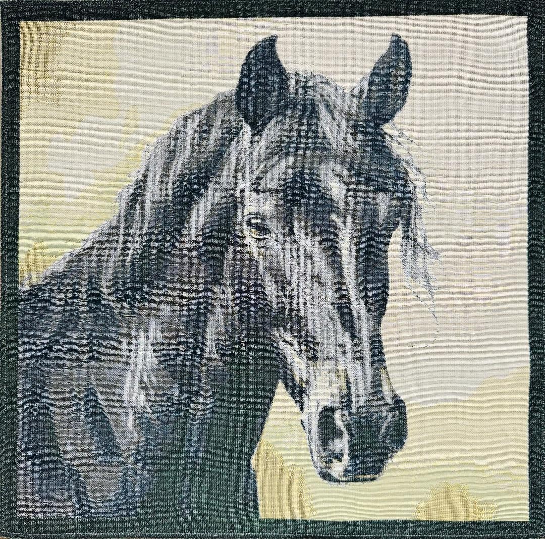 Carré Etalon noir