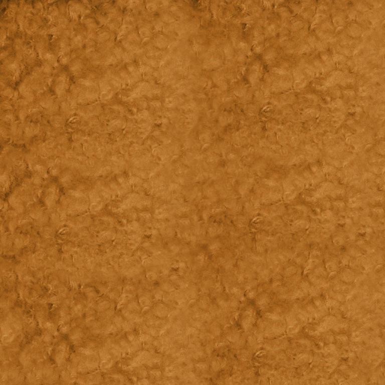 TEDDY camel