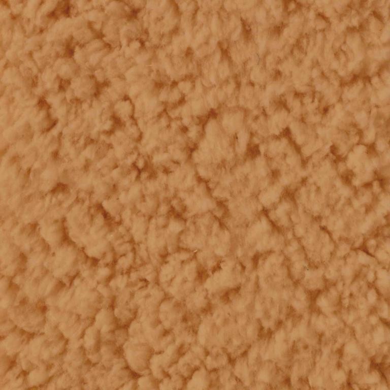 SHERPA camel