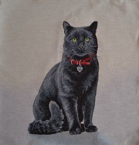 Carré - Chat noir